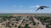 Kite4.jpg