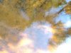 DJI_0117.JPG