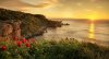 ocean-sunrise-flowers-nature-flower-hd-wave-wallpaper.jpg