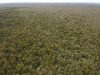 DJI_0296.JPG