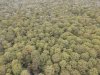 DJI_0292.JPG