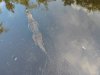 DJI_0312.JPG