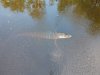 DJI_0315.JPG
