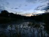 31F674CA-959D-469D-AD1A-8B53EC3E60F9.jpeg