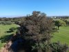 DJI_0060.JPG