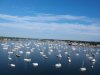 DJI_0218.JPG