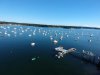DJI_0391.JPG