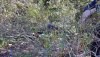 20180929_151236.jpg