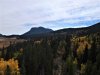 RMNP Aspens 2.JPG