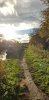 20181014_170950.jpg