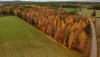 DJI_0078.jpg