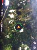 IMG-20181113-WA0001.jpg
