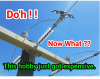 August 17, 2018 101437 AM EDT.png