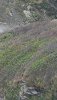20190106_135006.jpeg