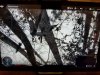 20190127_180559.jpeg
