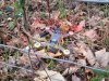 20190127_175800.jpeg