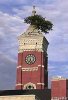 INGREtree_hoosier.jpg