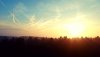 20190214_121015.jpeg