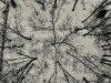 4358758A-5219-42DE-BBE0-EFB1D2646302.jpeg