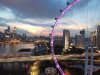 DJI_3081.jpg