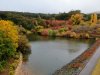 DJI_0017.JPG