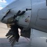 HawkHunter
