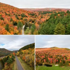 Vermont foliage